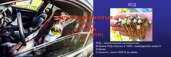 a pvp Аркадак